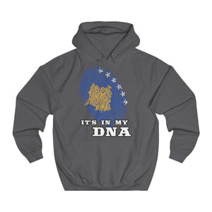 "Kosovo" Hoodie - Balkan Merch