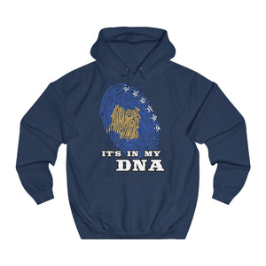 "Kosovo" Hoodie - Balkan Merch