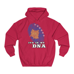 "Kosovo" Hoodie - Balkan Merch