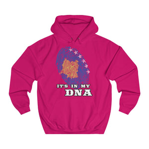 "Kosovo" Hoodie - Balkan Merch